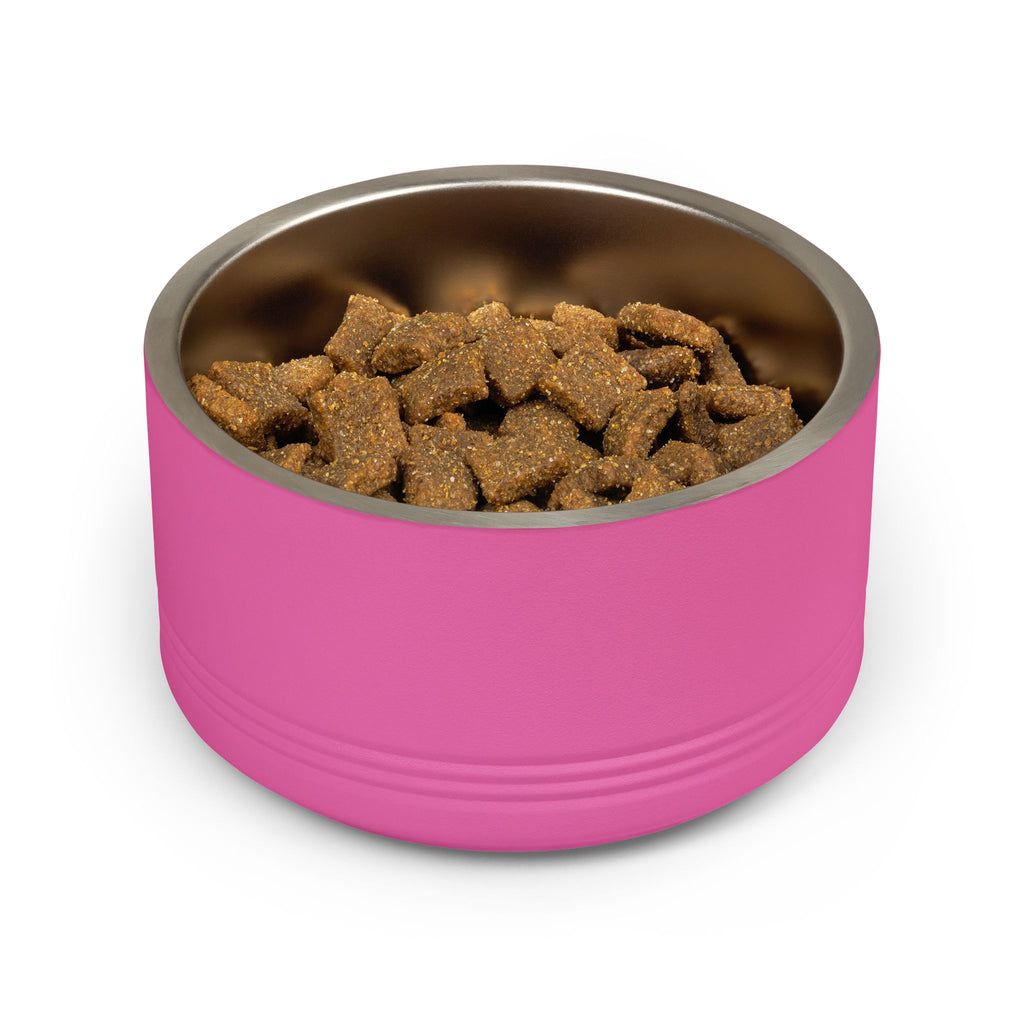 Personalized Pet Bowl — 18oz Stainless Steel Dog Food Bowl (Custom Name: Charlie)