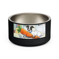 Personalized Pet Bowl — 18oz Stainless Steel Dog Food Bowl (Custom Name: Charlie)