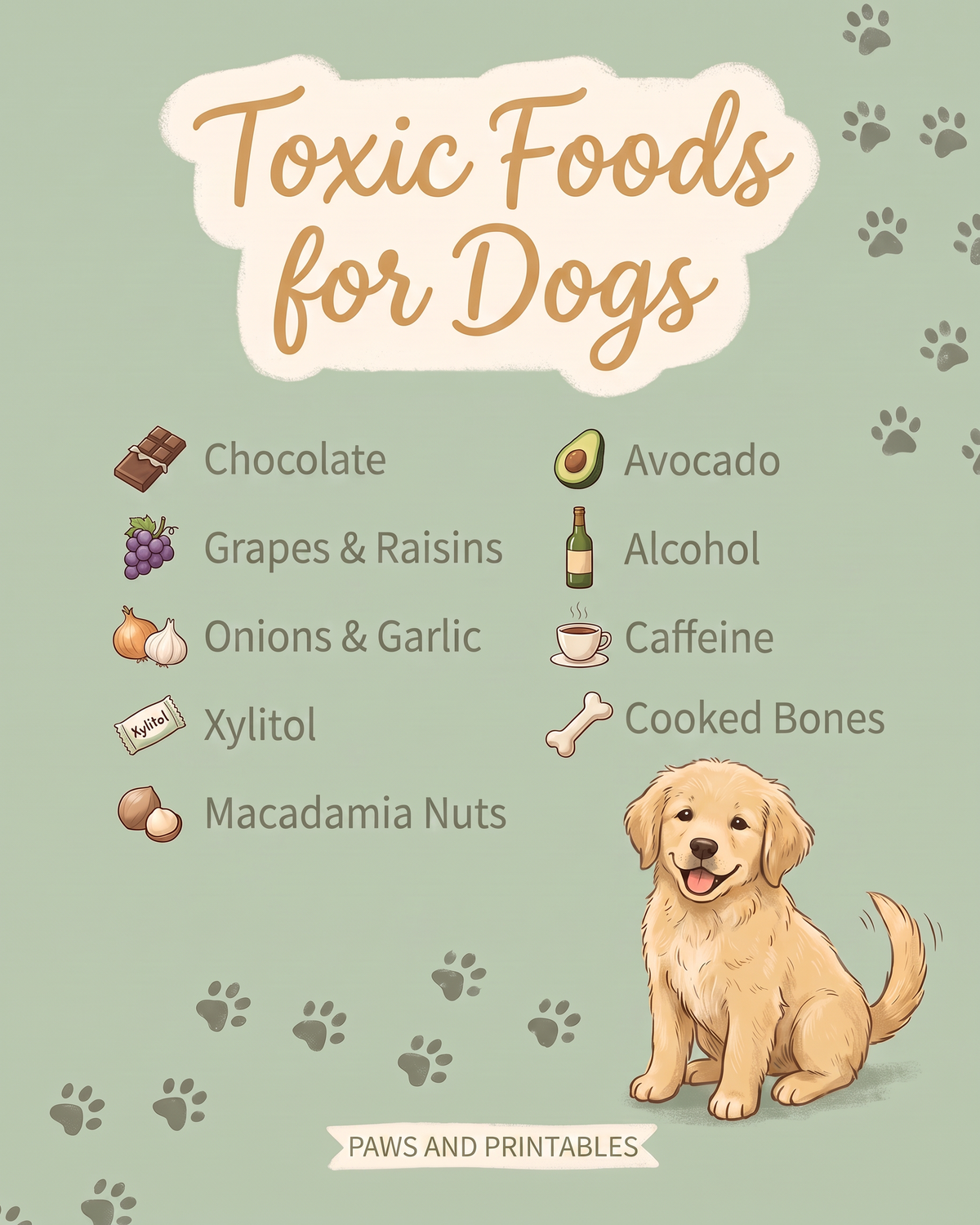 Pet Care Wall Art Set