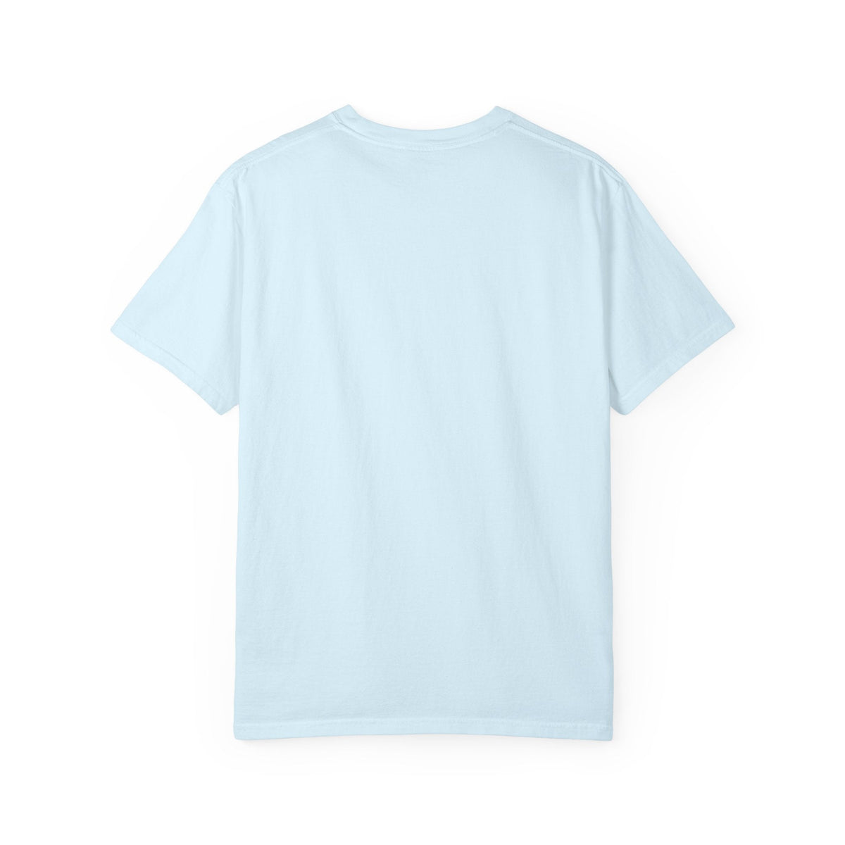 Back view of a Paws And Printables light blue garment-dyed cotton t-shirt with a relaxed fit and clean construction.