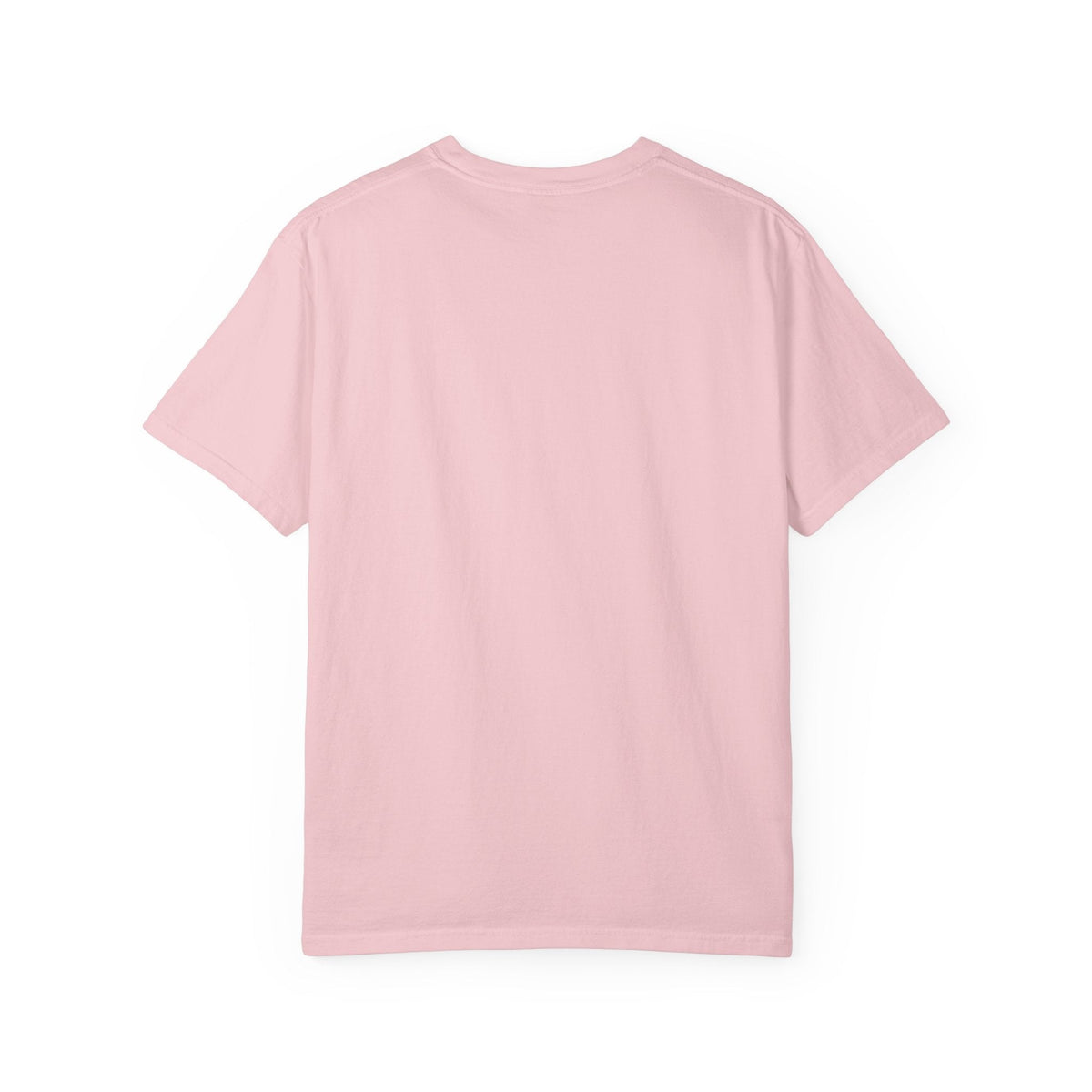 Paws And Printables light pink garment-dyed cotton t-shirt, back view showing relaxed fit and soft texture